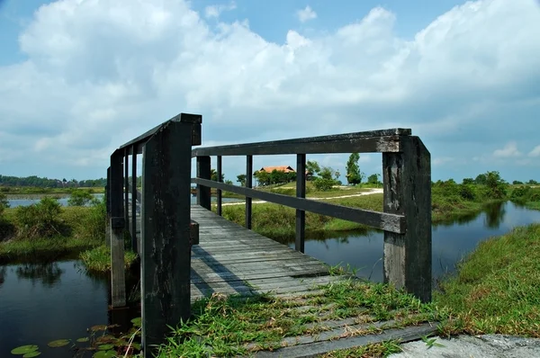 Ponte di legno — Foto Stock