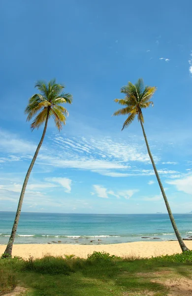 Tropische vakantie — Stockfoto