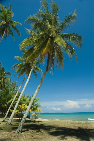 Coastal beaches in Terengganu, Malaysia — Stock Photo, Image