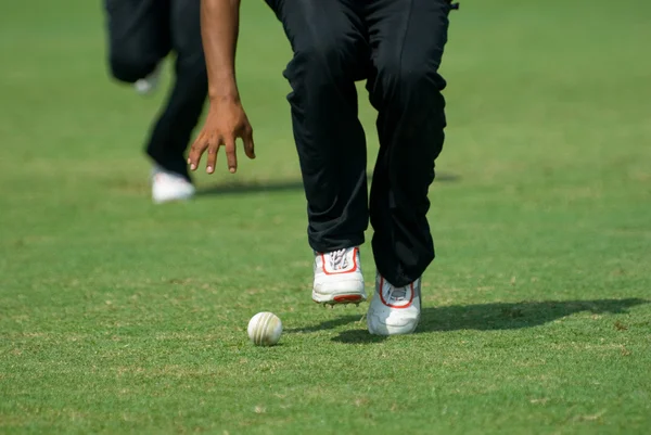 A cricketer picking up a ball — Stock Photo, Image