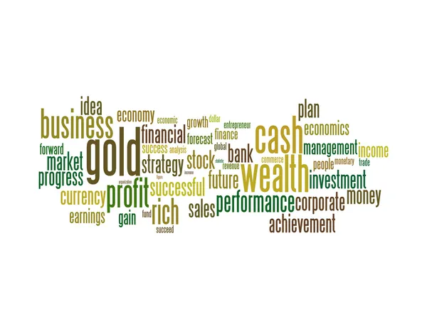 Wealth management portfolio info text graphics and arrangement concept — Stock Photo, Image