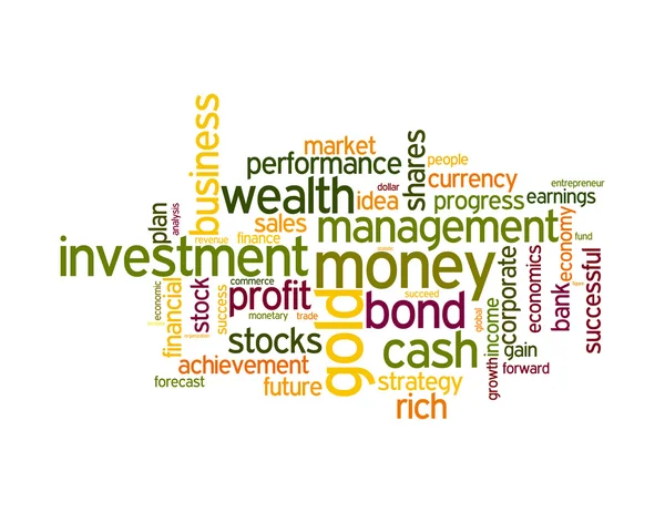 Wealth management portfolio info text graphics and arrangement concept — Stock Photo, Image