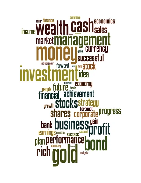 Wealth management portfolio info text graphics and arrangement concept — Stock Photo, Image