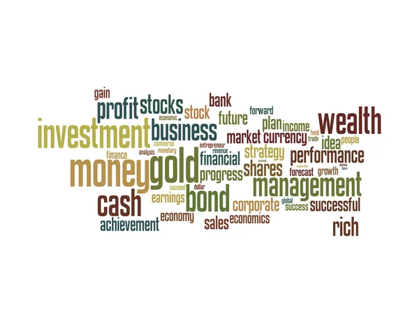 Wealth management portfolio info text graphics and arrangement concept — Stock Photo, Image