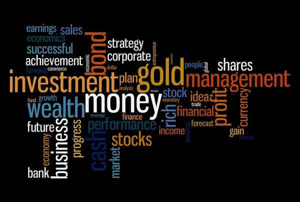 Gestão de riqueza portfólio info texto gráficos e arranjo conceito — Fotografia de Stock