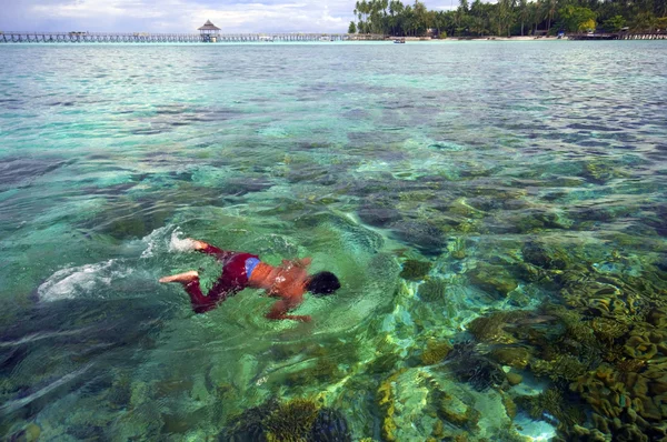 Tropical resort in Malaysia with crystal clear water — Stock Photo, Image