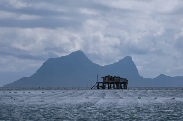 Wooden house on stilts with seaweed farm — Stock Photo, Image