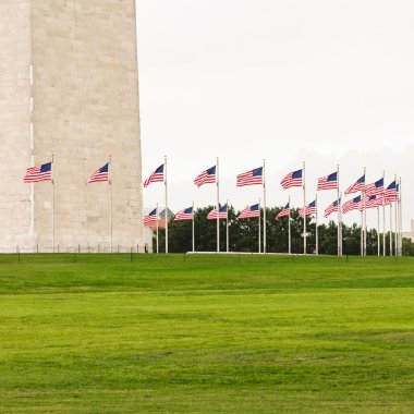 Ring Of Flags Surrounding The Washington Monument clipart