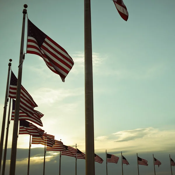 Anello di bandiere americane — Foto Stock