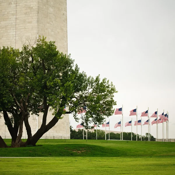 Памятник Вашингтону окружили флагами — стоковое фото