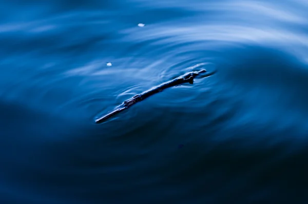 Detriti galleggianti in acqua — Foto Stock