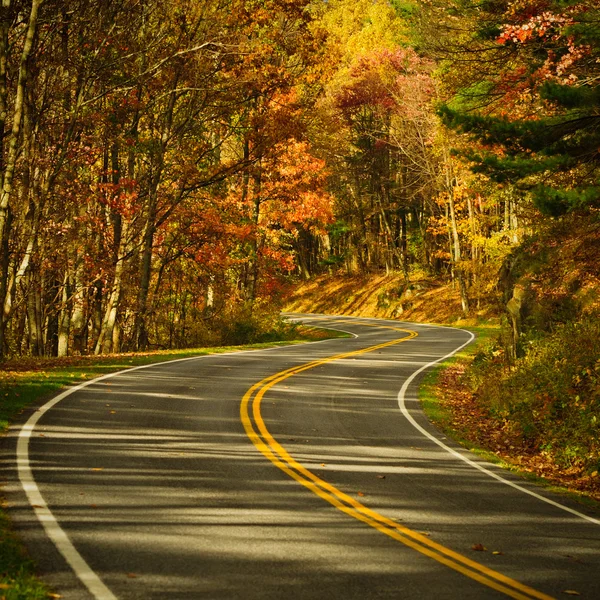 Strada curva S su Skyline Drive — Foto Stock