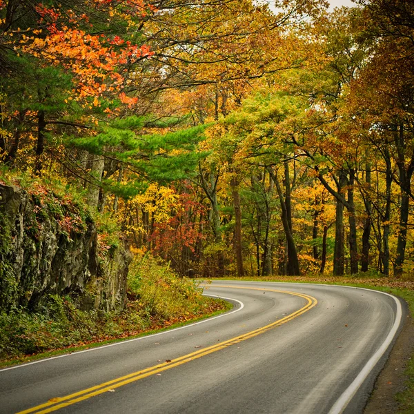 S-gebogen weg op skyline drive — Stockfoto