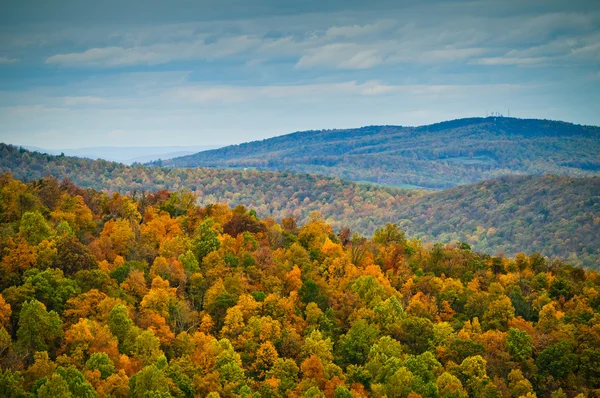 Shenandoah Nemzeti Park-ősszel — Stock Fotó