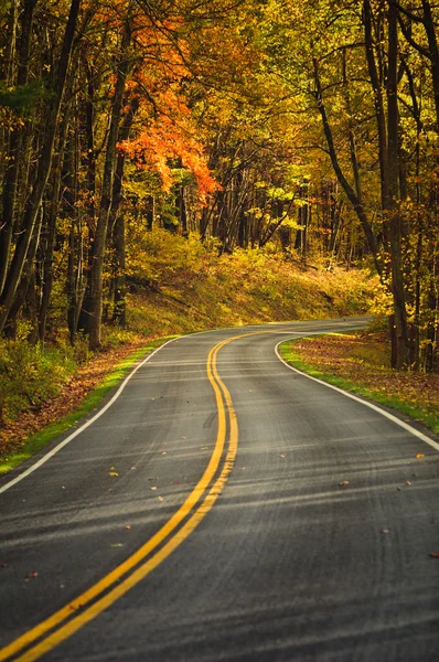 S-Curved Road On Skyline Drive — Stock Photo, Image