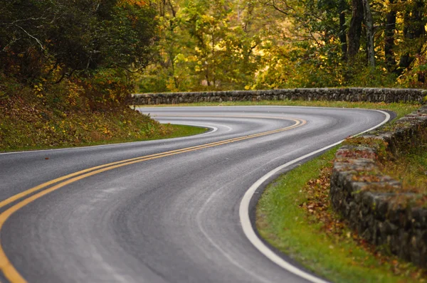 S-curva camino horizonte en coche — Foto de Stock