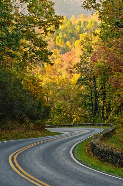 Lecteur de skyline route courbe en s — Photo