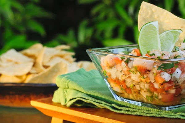 Ceviche and Chips — Stock Photo, Image