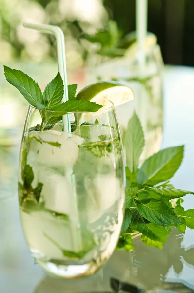 Mojito. — Stok fotoğraf