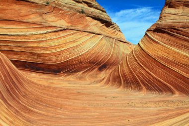 Dalga, arizona