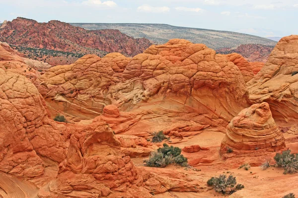 Rocce cerebrali — Foto Stock