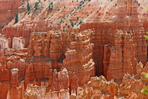 Rode hoodoos in bryce canyon — Stockfoto
