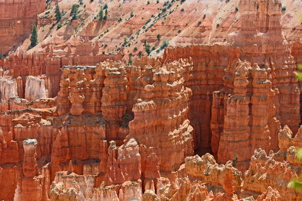 Rote Hoodoos in der Schlucht von Bryce — Stockfoto