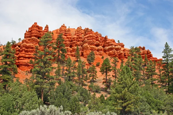 Red cliffs in Red Canyon — Stock Photo, Image