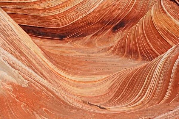 The Wave close up — Stock Photo, Image