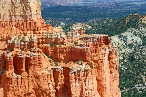 Red cliffs in Bryce Canyon — Stock Photo, Image