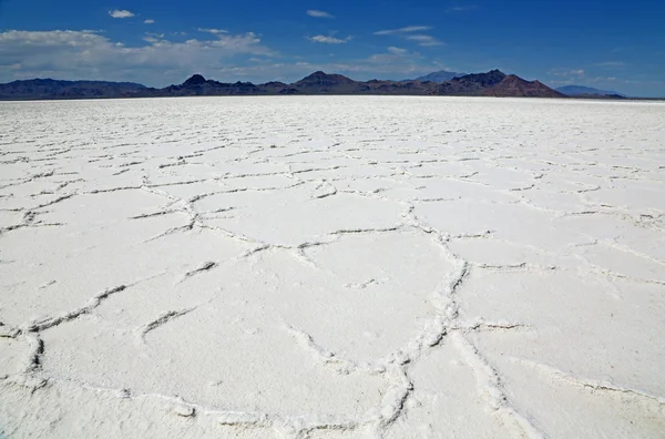 Gran desierto de Salt Lake desde la perspectiva de la rana — Foto de Stock