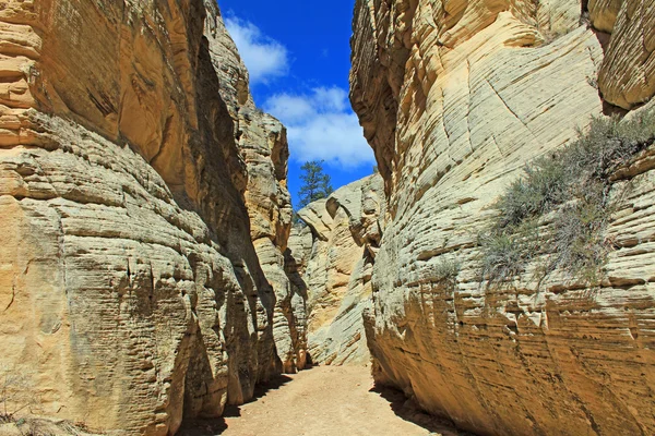 Enter to Lick Wash — Stock Photo, Image