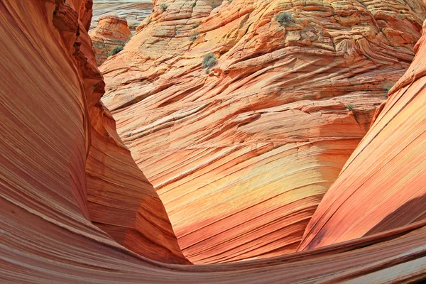 Opening to The Wave — Stock Photo, Image