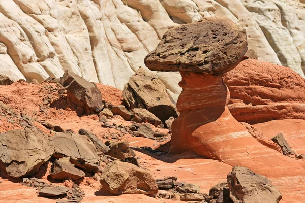 Taburete de sapo rojo-marrón y rocas marrones — Foto de Stock