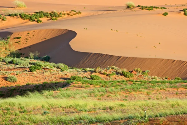 Flat dune — Stock Photo, Image