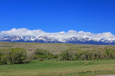 çılgın dağ bize-191