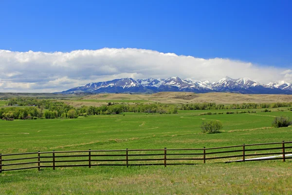 Crazy Mountains, meadow and fence — Stock Photo, Image