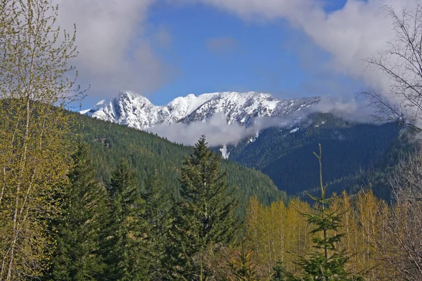Parque Nacional North Cascades, Washington —  Fotos de Stock