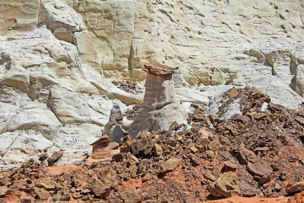 在棕色的瓦砾上自然毒菌 — 图库照片