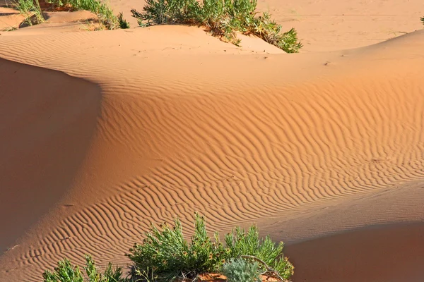 Soft and velvety dune's texture — Stock Photo, Image