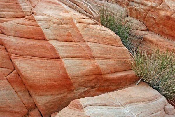 Tekstury z piaskowca — Zdjęcie stockowe