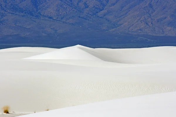 Dunes de sable blanc — Photo