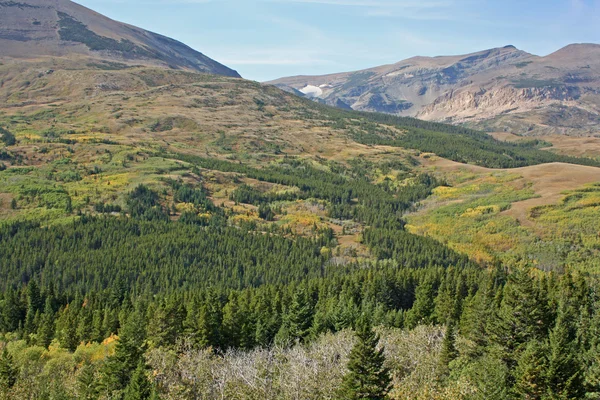 Bosque y montañas, Montana — Foto de Stock