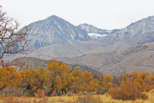 Otoño en Sierra Nevada —  Fotos de Stock