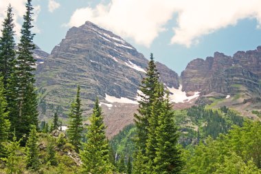 kestane Ladin zillerle