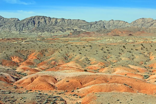 Landscape of nevada — Stock Photo, Image