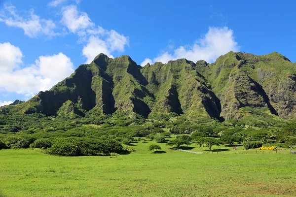 Rancho Kualoa — Fotografia de Stock