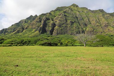 kualoa dramatik uçurumlar