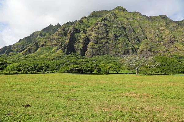 Kualoa dramatic cliffs — Stock Photo, Image