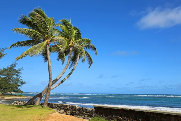 Hau 'ula Beach Park — стоковое фото